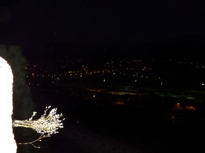 P1180201.JPG