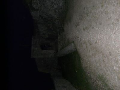 P1180211.JPG