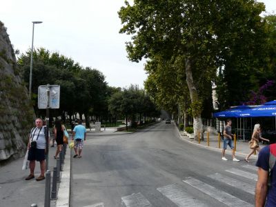 P1180524.JPG