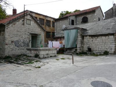 P1180525.JPG