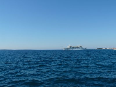 P1180764.JPG