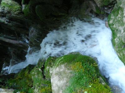 P1190081.JPG
