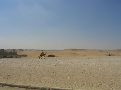 CIMG8498.JPG