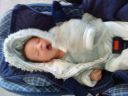 Dateiname=DSC00391.JPG
Dateigröße=840KB
Abmessungen: 2048x1536
hinzugefügt am: 01. Dezember 2015 DSC00391.JPG