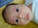 Dateiname=DSC00504.JPG
Dateigröße=686KB
Abmessungen: 2048x1536
hinzugefügt am: 01. Dezember 2015 DSC00504.JPG