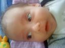 Dateiname=DSC00620.JPG
Dateigröße=440KB
Abmessungen: 2048x1536
hinzugefügt am: 01. Dezember 2015 DSC00620.JPG