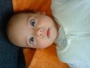 Dateiname=DSC00766_001.JPG
Dateigröße=514KB
Abmessungen: 2048x1536
hinzugefügt am: 01. Dezember 2015 DSC00766_001.JPG