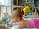 Dateiname=DSC00968.JPG
Dateigröße=718KB
Abmessungen: 2048x1536
hinzugefügt am: 01. Dezember 2015 DSC00968.JPG