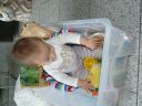 Dateiname=P1190363.JPG
Dateigröße=373KB
Abmessungen: 2048x1536
hinzugefügt am: 01. Dezember 2015 P1190363.JPG