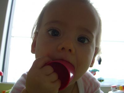 CIMG0096.JPG