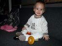 Dateiname=P1190453.JPG
Dateigröße=369KB
Abmessungen: 2048x1536
hinzugefügt am: 01. Dezember 2015 P1190453.JPG