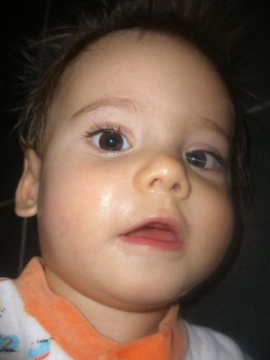 CIMG0801.JPG