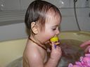 Dateiname=P1210562.JPG
Dateigröße=284KB
Abmessungen: 2048x1536
hinzugefügt am: 01. Dezember 2015 P1210562.JPG