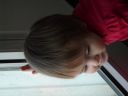 Dateiname=P1220313.JPG
Dateigröße=215KB
Abmessungen: 2048x1536
hinzugefügt am: 01. Dezember 2015 P1220313.JPG