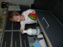 Dateiname=P1220346.JPG
Dateigröße=239KB
Abmessungen: 2048x1536
hinzugefügt am: 01. Dezember 2015 P1220346.JPG