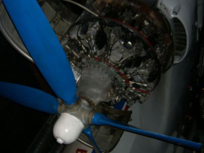 CIMG0258.JPG