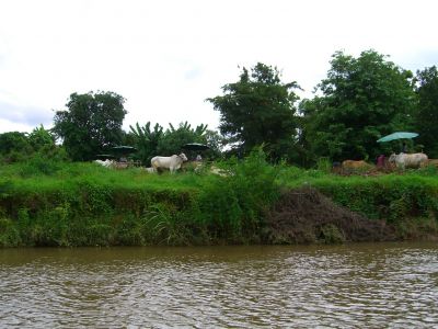 cimg3666.jpg