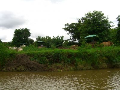 cimg3667.jpg