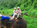 Dateiname=cimg3542.jpg
Dateigröße=666KB
Abmessungen: 2048x1536
hinzugefügt am: 02. Dezember 2015 cimg3542.jpg
