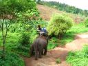 Dateiname=cimg3594.jpg
Dateigröße=705KB
Abmessungen: 2048x1536
hinzugefügt am: 02. Dezember 2015 cimg3594.jpg