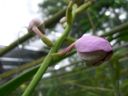 Dateiname=cimg3719.jpg
Dateigröße=205KB
Abmessungen: 2048x1536
hinzugefügt am: 02. Dezember 2015 cimg3719.jpg