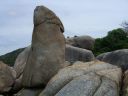 Dateiname=cimg4454.jpg
Dateigröße=541KB
Abmessungen: 2048x1536
hinzugefügt am: 02. Dezember 2015 cimg4454.jpg