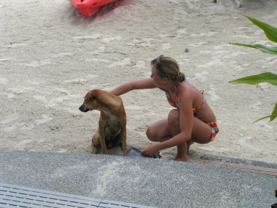 PICT0040_001.JPG