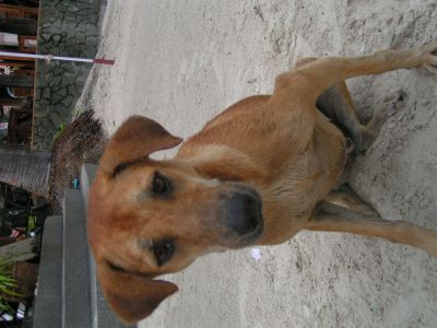PICT0083_001.JPG