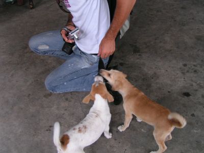 PICT0148_001.JPG