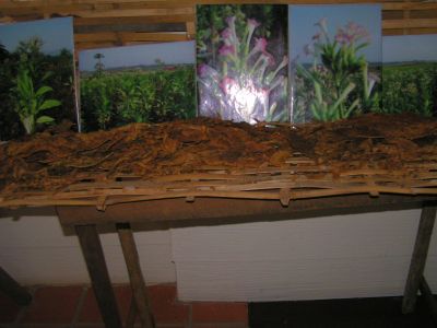 PICT0399.JPG