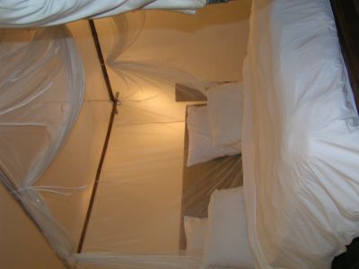 PICT0415.JPG