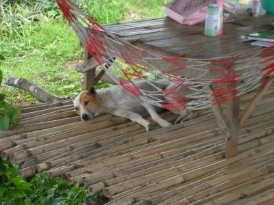 PICT0438.JPG