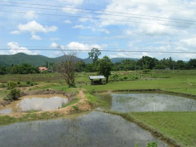PICT0470.JPG