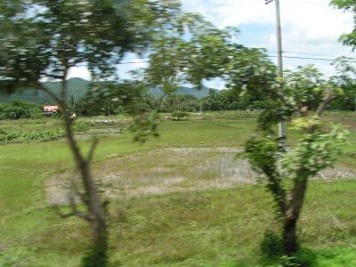 PICT0471.JPG