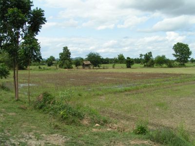PICT0482.JPG