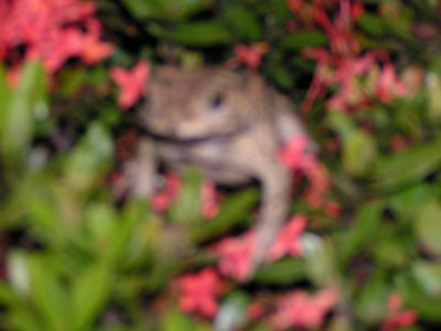 PICT0560.JPG
