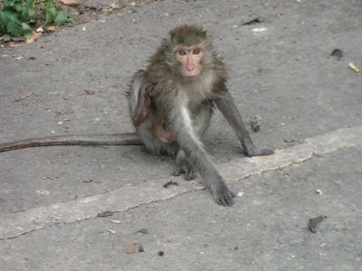 PICT0614_001.JPG