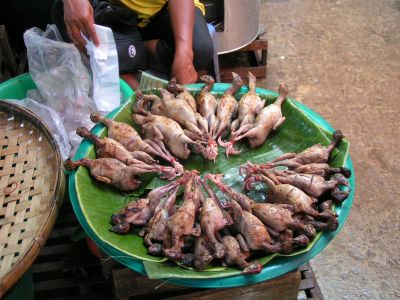 PICT0621.JPG