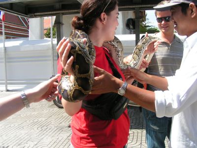 PICT0711.JPG