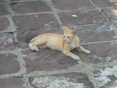 PICT0737.JPG