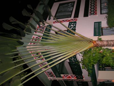 PICT0937.JPG