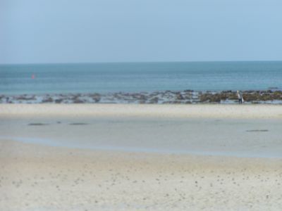 PICT0949.JPG