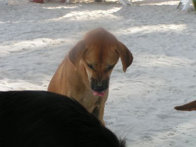 PICT1010.JPG