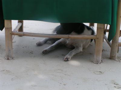 PICT1019.JPG