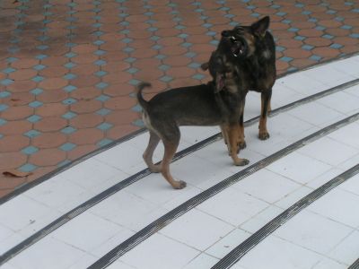 PICT1049.JPG