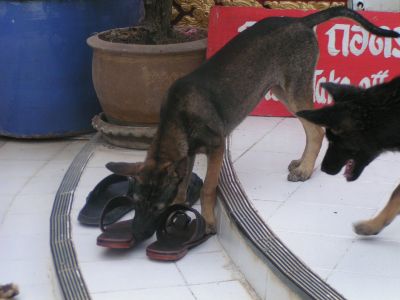 PICT1051.JPG