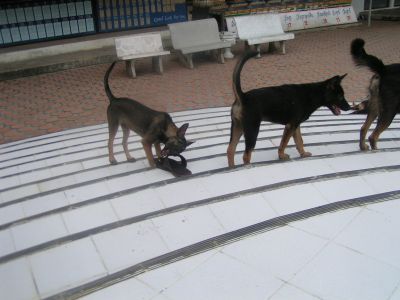 PICT1052.JPG