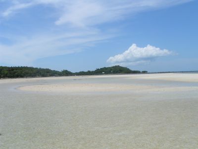 PICT1129.JPG