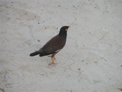 PICT1187.JPG