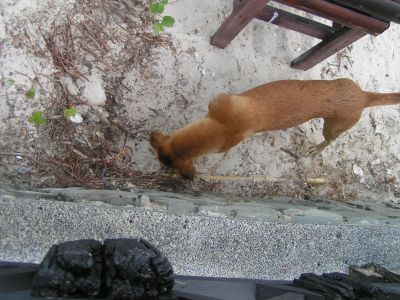 PICT1214.JPG